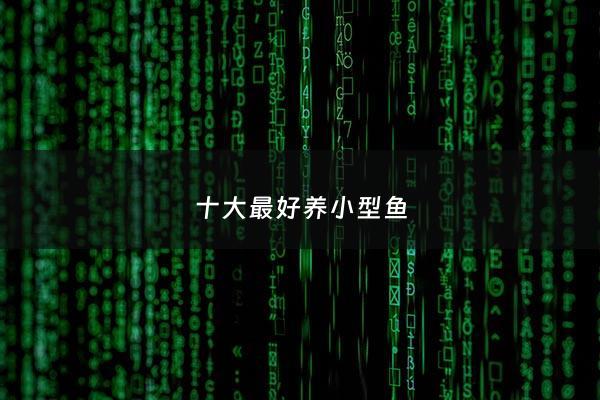 十大最好养小型鱼 - 什么小型鱼最好养活?