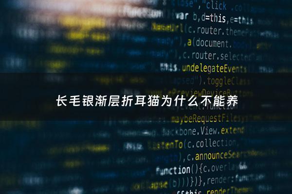 长毛银渐层折耳猫为什么不能养 - 长毛银渐层猫好养吗