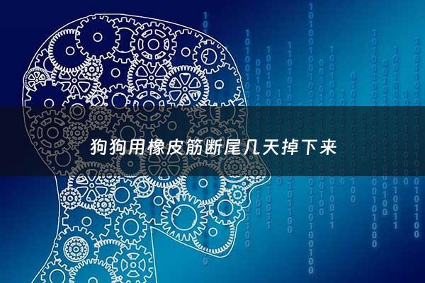 狗狗用橡皮筋断尾几天掉下来 - 狗狗用橡皮筋断尾几天掉下来正常吗