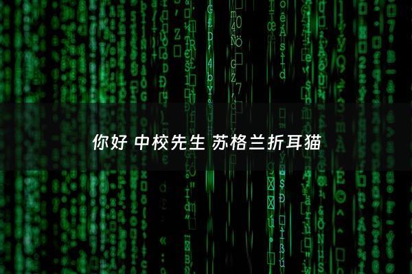 你好 中校先生 苏格兰折耳猫 - 你好中校先生苏格兰折耳猫***阅读