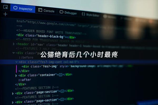 公猫绝育后几个小时最疼 - 公猫绝育***后多久醒