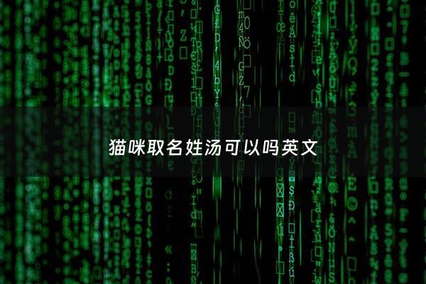 猫咪取名姓汤可以吗英文 - 猫可以起什么英文名