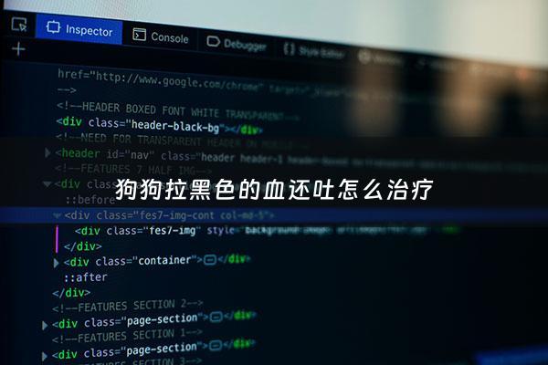 狗狗拉黑色的血还吐怎么治疗 - 狗拉黑色的稀屎的原因而且还吐了怎么办