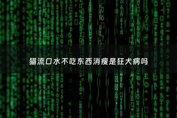 猫流口水不吃东西消瘦是狂犬病吗 - 猫流口水不吃不喝不排便