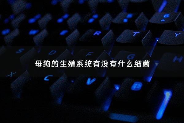 母狗的生殖系统有没有什么细菌 - 母犬常见的生殖系统疾病