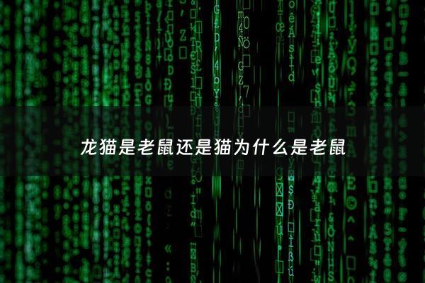 龙猫是老鼠还是猫为什么是老鼠 - 龙猫也是老鼠