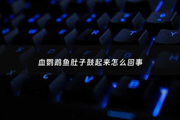 血鹦鹉鱼肚子鼓起来怎么回事 - 鹦鹉鱼肚子鼓起来什么情况