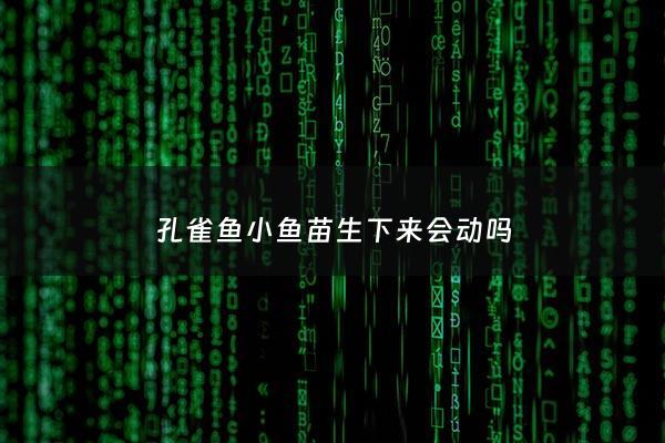 孔雀鱼小鱼苗生下来会动吗 - 孔雀鱼从鱼苗到下崽需要多长时间