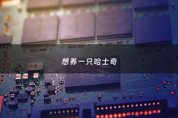 想养一只哈士奇 - 想养一只哈士奇***