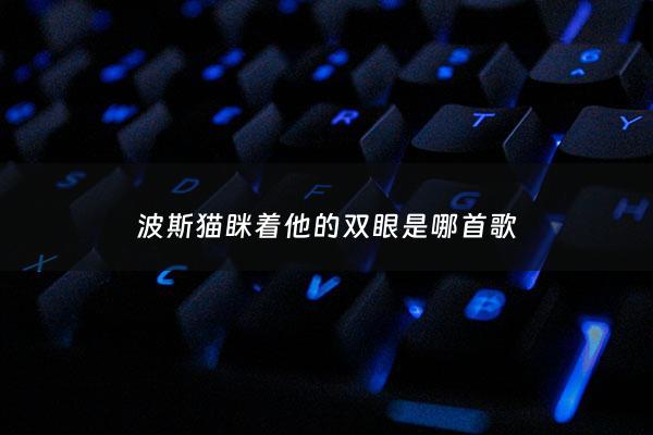 波斯猫眯着他的双眼是哪首歌 - 波斯猫眯着他的双眼歌词是什么意思