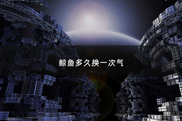 鲸鱼多久换一次气 - 鲸鱼多久吸一口气