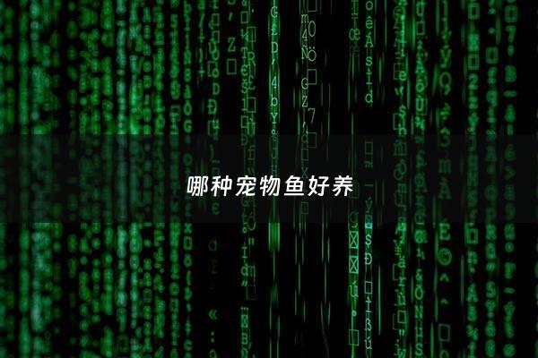 哪种宠物鱼好养 - 什么宠物鱼好养又漂亮
