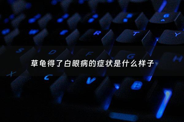 草龟得了白眼病的症状是什么样子 - 小草龟白眼病怎么办?