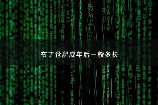 布丁仓鼠成年后一般多长 - 布丁仓鼠多大开始***