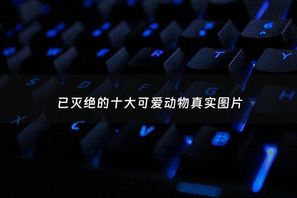 已灭绝的十大可爱动物真实图片 - 已灭绝的动物名单***