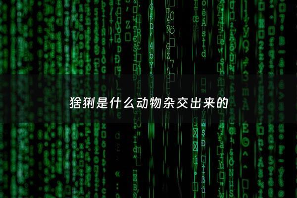 猞猁是什么动物杂交出来的 - 猞猁是一种动物吗