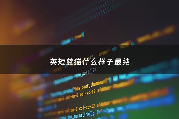 英短蓝猫什么样子最纯 - 英短蓝猫什么品种