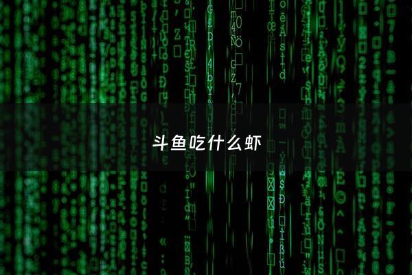 斗鱼吃什么虾 - 斗鱼吃虾嘛