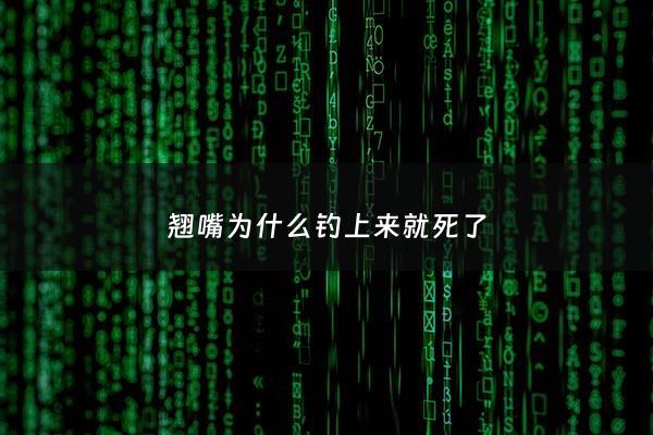 翘嘴为什么钓上来就死了 - 翘嘴为什么容易脱钩