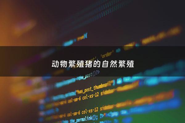 动物繁殖猪的自然繁殖 - 猪***繁殖