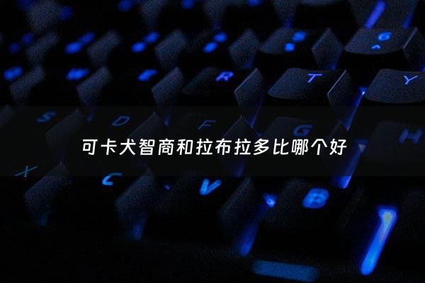可卡犬智商和拉布拉多比哪个好 - 可卡犬智商高吗