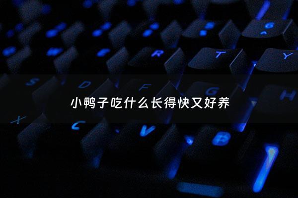 小鸭子吃什么长得快又好养 - 小鸭子吃什么东西长得快