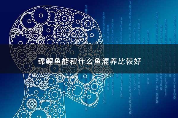 锦鲤鱼能和什么鱼混养比较好 - 你知道锦鲤可以和什么鱼混养吗?