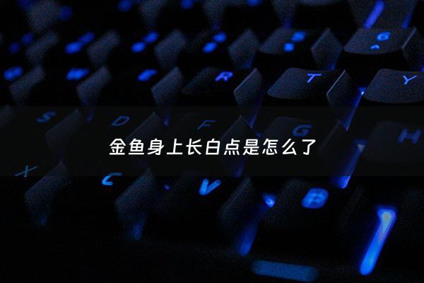 金鱼身上长白点是怎么了 - 金鱼身上长白点是怎么了呢