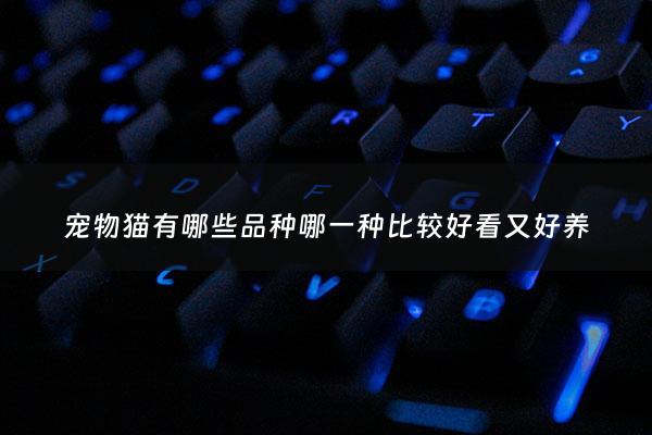 宠物猫有哪些品种哪一种比较好看又好养 - 宠物猫都什么品种