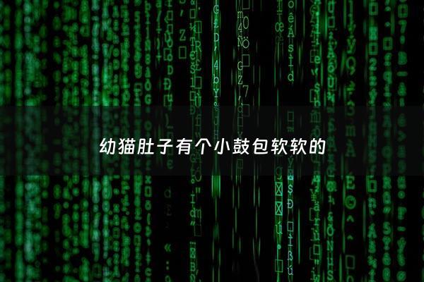 幼猫肚子有个小鼓包软软的 - 幼猫肚子有个小鼓包软软的是什么
