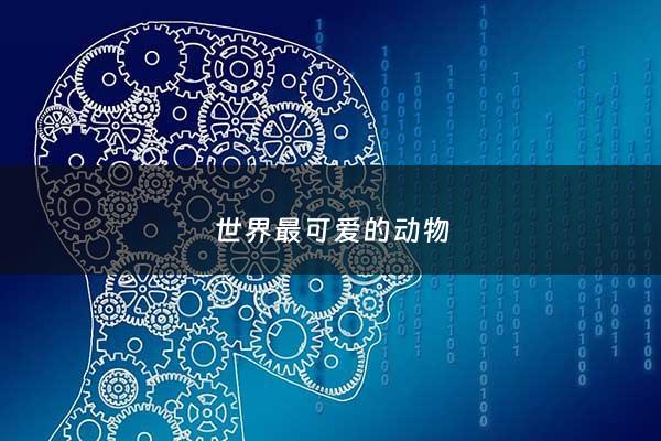 世界最可爱的动物 - 世界上最可爱的动物十大排名