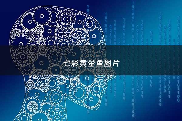 七彩黄金鱼图片 - 七彩黄金鱼好养吗