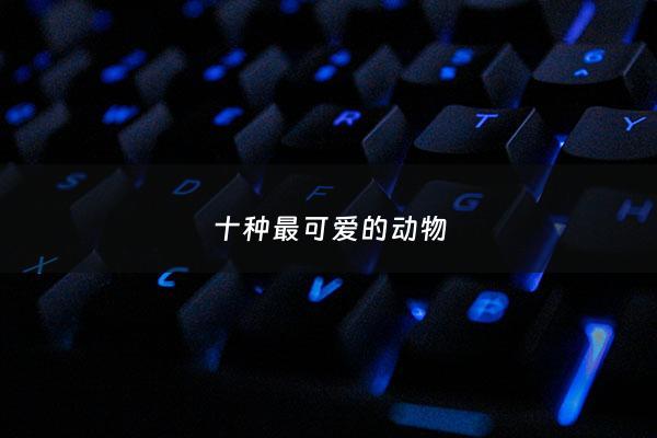 十种最可爱的动物 - 最可爱动物排行榜前十名
