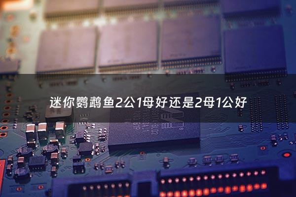 迷你鹦鹉鱼2公1母好还是2母1公好 - 迷你鹦鹉鱼随便一条公鱼和母鱼能配对嘛