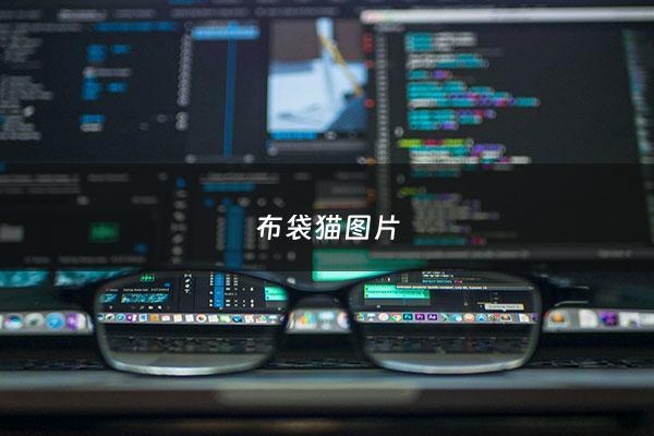 布袋猫图片 - 布袋镆图片