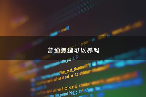 普通狐狸可以养吗 - 狐狸可以养的吗
