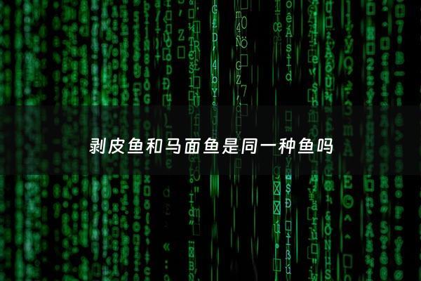 剥皮鱼和马面鱼是同一种鱼吗 - 剥皮鱼是河豚吗
