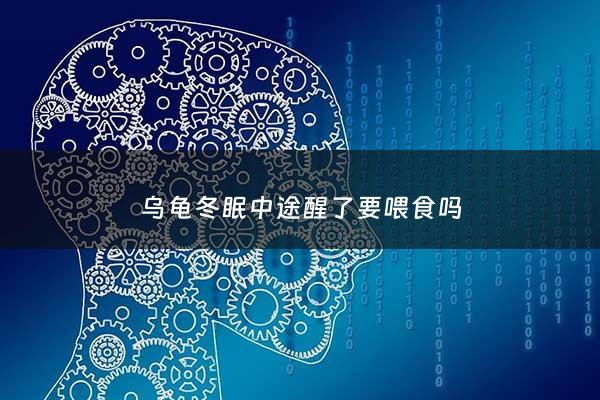 乌龟冬眠中途醒了要喂食吗 - 乌龟冬眠醒了需要喂食吗