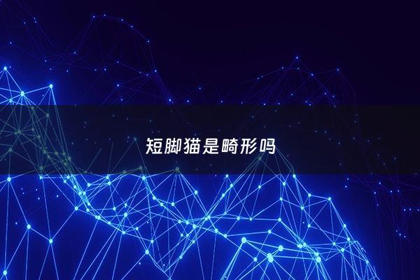 短脚猫是畸形吗 - 短脚猫是畸形吗图片