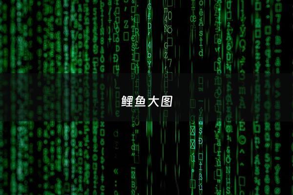 鲤鱼大图 - 鲤鱼图片大全 图片高清养殖