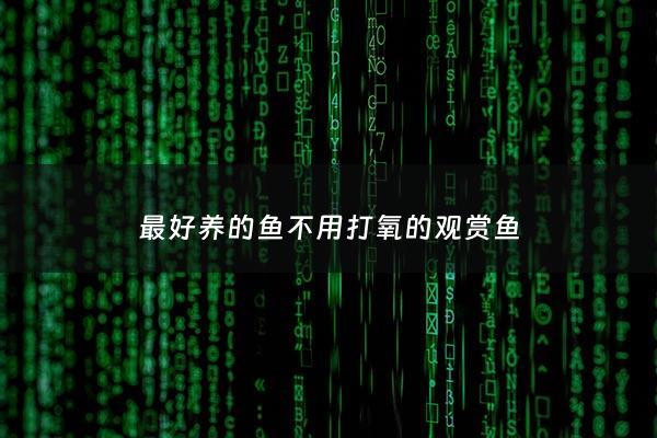 最好养的鱼不用打氧的观赏鱼 - 最好养的鱼不用打氧的观赏鱼是哪种