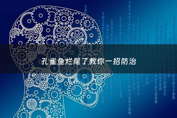 孔雀鱼烂尾了教你一招防治 - 孔雀鱼烂尾咋办