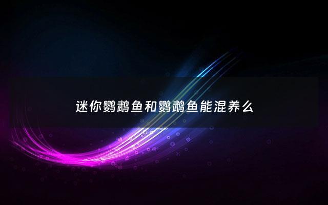 迷你鹦鹉鱼和鹦鹉鱼能混养么 - 迷你鹦鹉鱼与什么鱼可以一起养