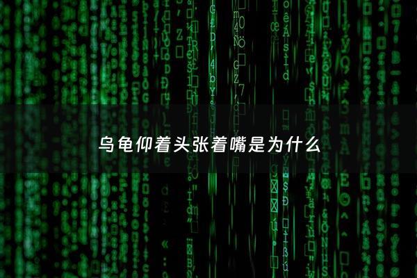乌龟仰着头张着嘴是为什么 - 乌龟仰头张嘴发出声音