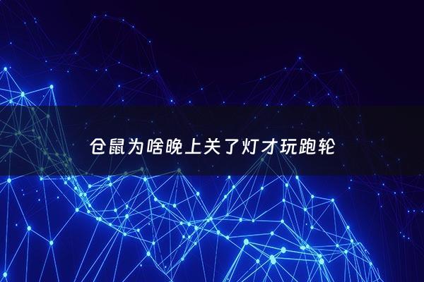 仓鼠为啥晚上关了灯才玩跑轮 - 仓鼠关灯会害怕吗