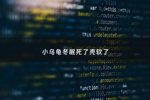 小乌龟冬眠死了壳软了 - 小乌龟冬眠后死了