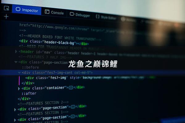 龙鱼之巅锦鲤 - 龙巅锦鲤鱼论坛