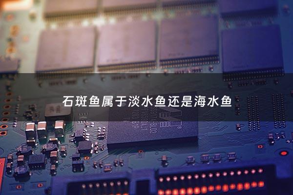 石斑鱼属于淡水鱼还是海水鱼 - 石斑鱼是淡水鱼?