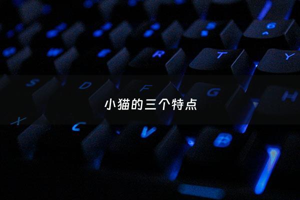 小猫的三个特点 - 小猫的三个特点***
