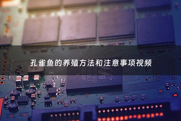 孔雀鱼的养殖***和注意事项*** - 孔雀鱼的养殖***和注意事项有哪些